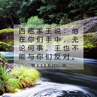 Picture 07 - 耶 利 米 书 38:5 CUVS - 西 底 家 王 说 ： 他 在 你 们 手 中 - Bible Verse Picture