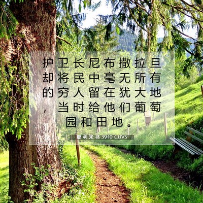 Picture 07 - 耶 利 米 书 39:10 CUVS - 护 卫 长 尼 布 撒 拉 旦 却 将 民 中 - Bible Verse Picture
