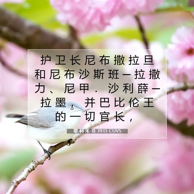 Picture 07 - 耶 利 米 书 39:13 CUVS - 护 卫 长 尼 布 撒 拉 旦 和 尼 布 沙 - Bible Verse Picture