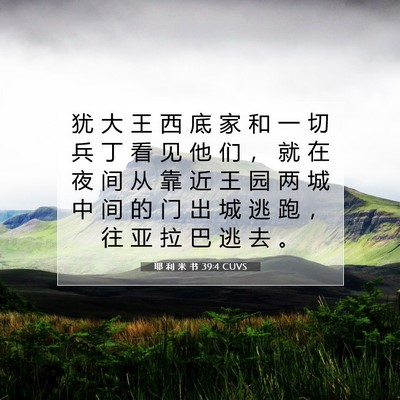 Picture 07 - 耶 利 米 书 39:4 CUVS - 犹 大 王 西 底 家 和 一 切 兵 丁 看 - Bible Verse Picture