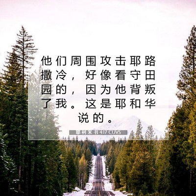 Picture 07 - 耶 利 米 书 4:17 CUVS - 他 们 周 围 攻 击 耶 路 撒 冷 ， 好 - Bible Verse Picture