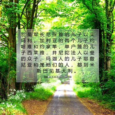 Picture 07 - 耶 利 米 书 40:8 CUVS - 於 是 军 长 尼 探 雅 的 儿 子 以 实 - Bible Verse Picture