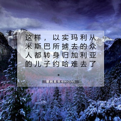 Picture 07 - 耶 利 米 书 41:14 CUVS - 这 样 ， 以 实 玛 利 从 米 斯 巴 所 - Bible Verse Picture