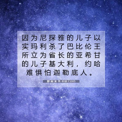 Picture 07 - 耶 利 米 书 41:18 CUVS - 因 为 尼 探 雅 的 儿 子 以 实 玛 利 - Bible Verse Picture