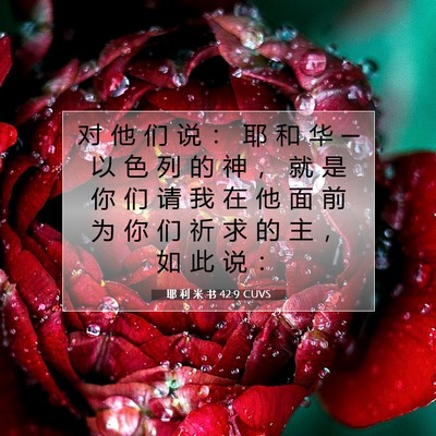 Picture 07 - 耶 利 米 书 42:9 CUVS - 对 他 们 说 ： 耶 和 华 ─ 以 色 列 - Bible Verse Picture
