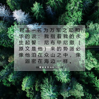 Picture 07 - 耶 利 米 书 46:18 CUVS - 君 王 ─ 名 为 万 军 之 耶 和 华 的 - Bible Verse Picture