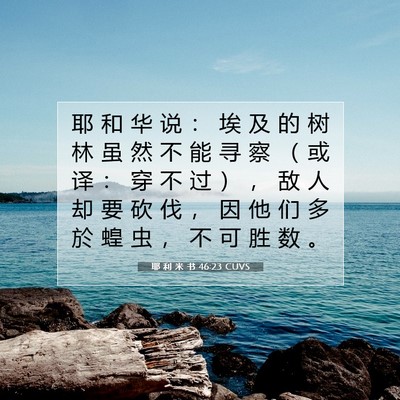Picture 07 - 耶 利 米 书 46:23 CUVS - 耶 和 华 说 ： 埃 及 的 树 林 虽 然 - Bible Verse Picture