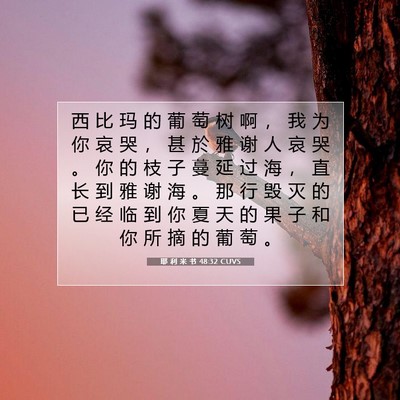 Picture 07 - 耶 利 米 书 48:32 CUVS - 西 比 玛 的 葡 萄 树 啊 ， 我 为 你 - Bible Verse Picture