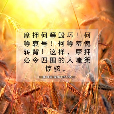 Picture 07 - 耶 利 米 书 48:39 CUVS - 摩 押 何 等 毁 坏 ！ 何 等 哀 号 ！ - Bible Verse Picture