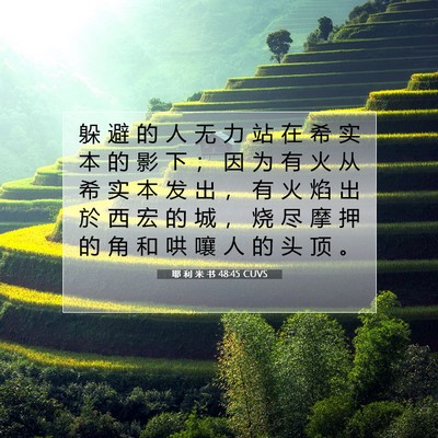 Picture 07 - 耶 利 米 书 48:45 CUVS - 躲 避 的 人 无 力 站 在 希 实 本 的 - Bible Verse Picture