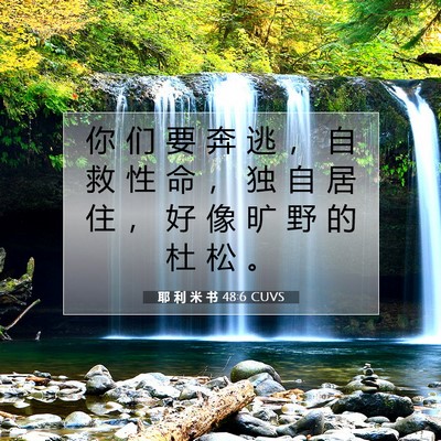 Picture 07 - 耶 利 米 书 48:6 CUVS - 你 们 要 奔 逃 ， 自 救 性 命 ， 独 - Bible Verse Picture