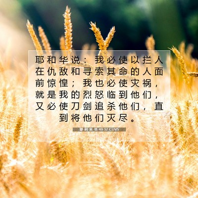 Picture 07 - 耶 利 米 书 49:37 CUVS - 耶 和 华 说 ： 我 必 使 以 拦 人 在 - Bible Verse Picture
