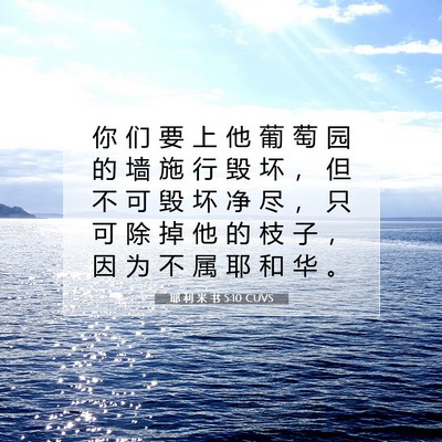 Picture 07 - 耶 利 米 书 5:10 CUVS - 你 们 要 上 他 葡 萄 园 的 墙 施 行 - Bible Verse Picture