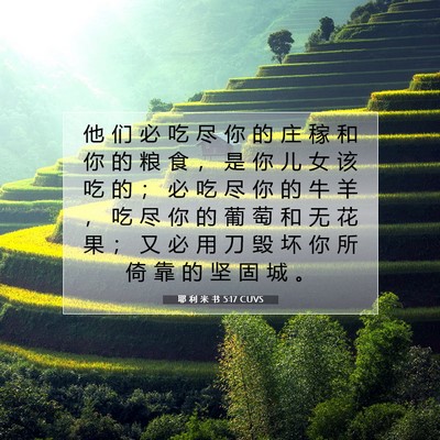 Picture 07 - 耶 利 米 书 5:17 CUVS - 他 们 必 吃 尽 你 的 庄 稼 和 你 的 - Bible Verse Picture
