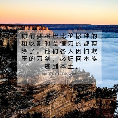 Picture 07 - 耶 利 米 书 50:16 CUVS - 你 们 要 将 巴 比 伦 撒 种 的 和 收 - Bible Verse Picture