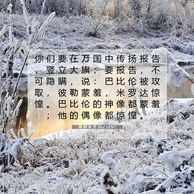 Picture 07 - 耶 利 米 书 50:2 CUVS - 你 们 要 在 万 国 中 传 扬 报 告 ， - Bible Verse Picture