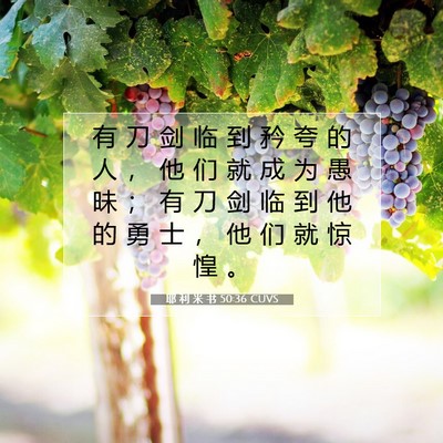 Picture 07 - 耶 利 米 书 50:36 CUVS - 有 刀 剑 临 到 矜 夸 的 人 ， 他 们 - Bible Verse Picture