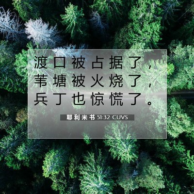 Picture 07 - 耶 利 米 书 51:32 CUVS - 渡 口 被 占 据 了 ， 苇 塘 被 火 烧 - Bible Verse Picture