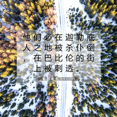 Picture 07 - 耶 利 米 书 51:4 CUVS - 他 们 必 在 迦 勒 底 人 之 地 被 杀 - Bible Verse Picture