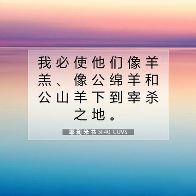 Picture 07 - 耶 利 米 书 51:40 CUVS - 我 必 使 他 们 像 羊 羔 、 像 公 绵 - Bible Verse Picture