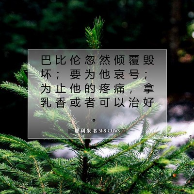 Picture 07 - 耶 利 米 书 51:8 CUVS - 巴 比 伦 忽 然 倾 覆 毁 坏 ； 要 为 - Bible Verse Picture
