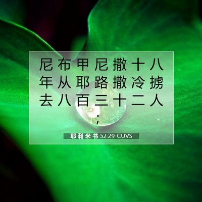 Picture 07 - 耶 利 米 书 52:29 CUVS - 尼 布 甲 尼 撒 十 八 年 从 耶 路 撒 - Bible Verse Picture