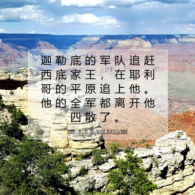 Picture 07 - 耶 利 米 书 52:8 CUVS - 迦 勒 底 的 军 队 追 赶 西 底 家 王 - Bible Verse Picture