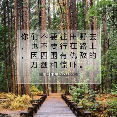 Picture 07 - 耶 利 米 书 6:25 CUVS - 你 们 不 要 往 田 野 去 ， 也 不 要 - Bible Verse Picture