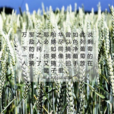 Picture 07 - 耶 利 米 书 6:9 CUVS - 万 军 之 耶 和 华 曾 如 此 说 ： 敌 - Bible Verse Picture