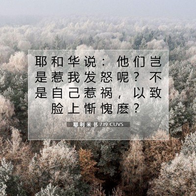 Picture 07 - 耶 利 米 书 7:19 CUVS - 耶 和 华 说 ： 他 们 岂 是 惹 我 发 - Bible Verse Picture