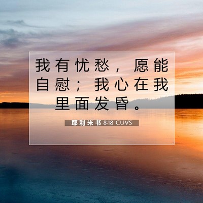Picture 07 - 耶 利 米 书 8:18 CUVS - 我 有 忧 愁 ， 愿 能 自 慰 ； 我 心 - Bible Verse Picture