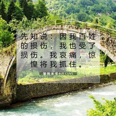 Picture 07 - 耶 利 米 书 8:21 CUVS - 先 知 说 ： 因 我 百 姓 的 损 伤 ， - Bible Verse Picture