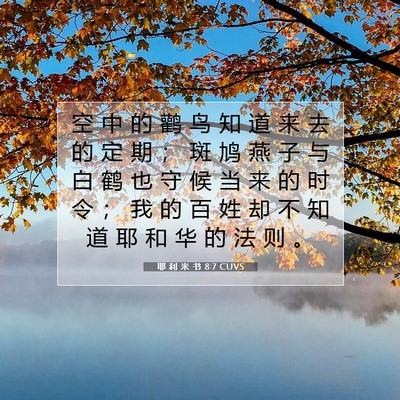 Picture 07 - 耶 利 米 书 8:7 CUVS - 空 中 的 鹳 鸟 知 道 来 去 的 定 期 - Bible Verse Picture