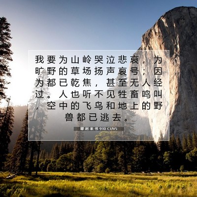 Picture 07 - 耶 利 米 书 9:10 CUVS - 我 要 为 山 岭 哭 泣 悲 哀 ， 为 旷 - Bible Verse Picture