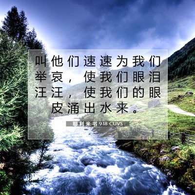 Picture 07 - 耶 利 米 书 9:18 CUVS - 叫 他 们 速 速 为 我 们 举 哀 ， 使 - Bible Verse Picture