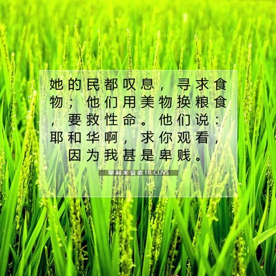 Picture 07 - 耶 利 米 哀 歌 1:11 CUVS - 她 的 民 都 叹 息 ， 寻 求 食 物 ； - Bible Verse Picture