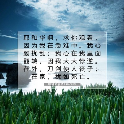 Picture 07 - 耶 利 米 哀 歌 1:20 CUVS - 耶 和 华 啊 ， 求 你 观 看 ， 因 为 - Bible Verse Picture