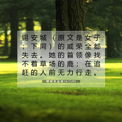 Picture 07 - 耶 利 米 哀 歌 1:6 CUVS - 锡 安 城 （ 原 文 是 女 子 ； 下 同 - Bible Verse Picture