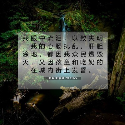 Picture 07 - 耶 利 米 哀 歌 2:11 CUVS - 我 眼 中 流 泪 ， 以 致 失 明 ， 我 - Bible Verse Picture