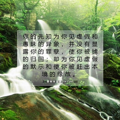 Picture 07 - 耶 利 米 哀 歌 2:14 CUVS - 你 的 先 知 为 你 见 虚 假 和 愚 昧 - Bible Verse Picture