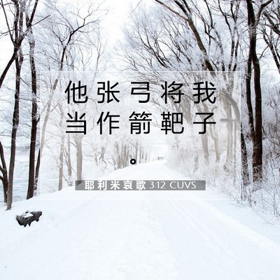 Picture 07 - 耶 利 米 哀 歌 3:12 CUVS - 他 张 弓 将 我 当 作 箭 靶 子 - Bible Verse Picture