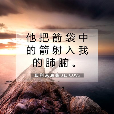 Picture 07 - 耶 利 米 哀 歌 3:13 CUVS - 他 把 箭 袋 中 的 箭 射 入 我 的 肺 - Bible Verse Picture