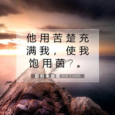 Picture 07 - 耶 利 米 哀 歌 3:15 CUVS - 他 用 苦 楚 充 满 我 ， 使 我 饱 用 - Bible Verse Picture
