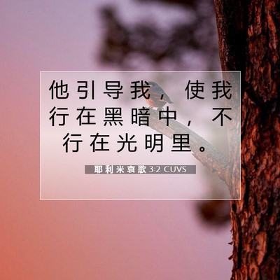 Picture 07 - 耶 利 米 哀 歌 3:2 CUVS - 他 引 导 我 ， 使 我 行 在 黑 暗 中 - Bible Verse Picture