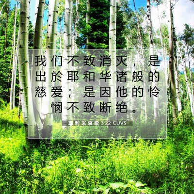 Picture 07 - 耶 利 米 哀 歌 3:22 CUVS - 我 们 不 致 消 灭 ， 是 出 於 耶 和 - Bible Verse Picture
