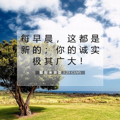 Picture 07 - 耶 利 米 哀 歌 3:23 CUVS - 每 早 晨 ， 这 都 是 新 的 ； 你 的 - Bible Verse Picture