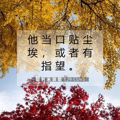 Picture 07 - 耶 利 米 哀 歌 3:29 CUVS - 他 当 口 贴 尘 埃 ， 或 者 有 指 望 - Bible Verse Picture