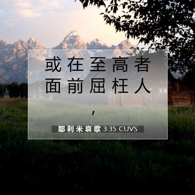 Picture 07 - 耶 利 米 哀 歌 3:35 CUVS - 或 在 至 高 者 面 前 屈 枉 人 - Bible Verse Picture