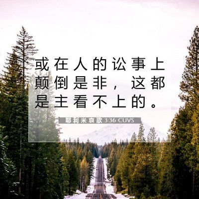 Picture 07 - 耶 利 米 哀 歌 3:36 CUVS - 或 在 人 的 讼 事 上 颠 倒 是 非 ， - Bible Verse Picture