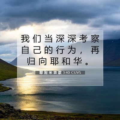 Picture 07 - 耶 利 米 哀 歌 3:40 CUVS - 我 们 当 深 深 考 察 自 己 的 行 为 - Bible Verse Picture